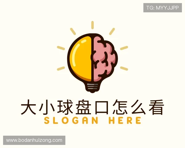 认识波胆教学